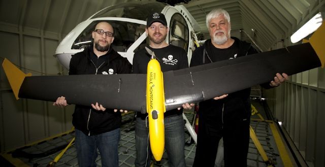 sea-shepherd.jpg