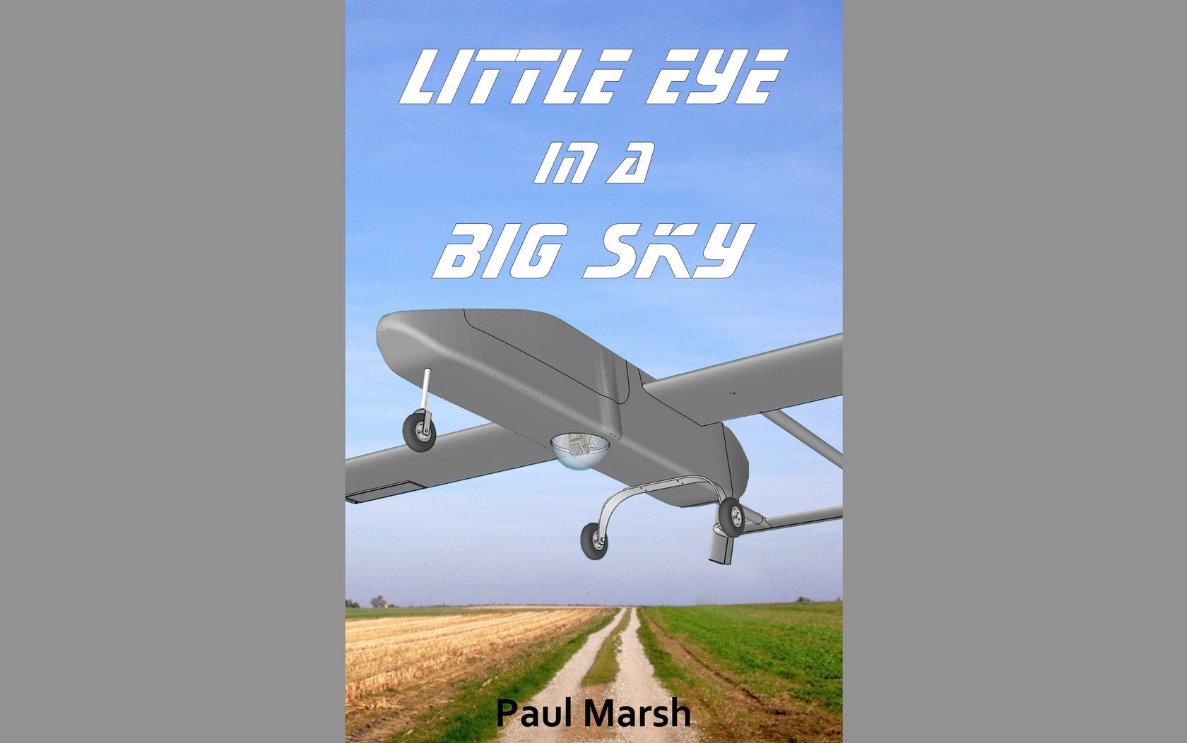 little-eye-big-sky.jpg